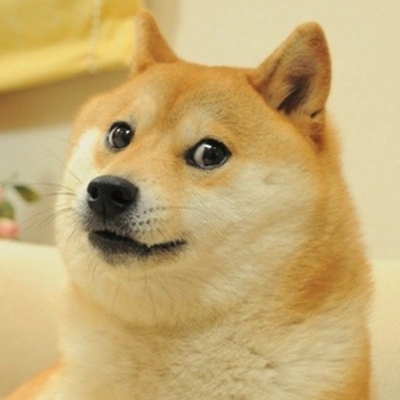 Doge.png